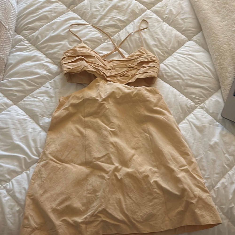 Zara dress